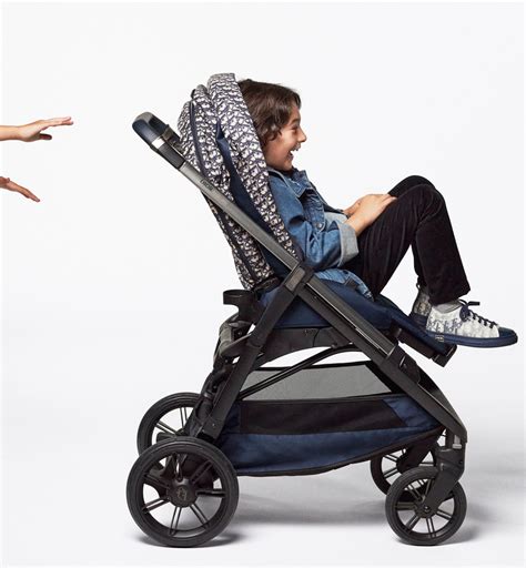 dior car seat|dior baby stroller price.